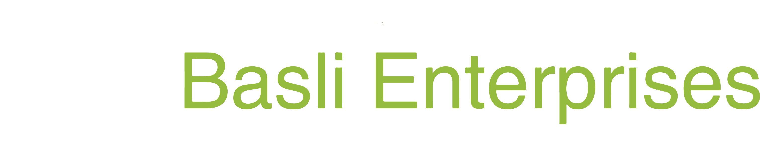 BASLI ENTERPRISES