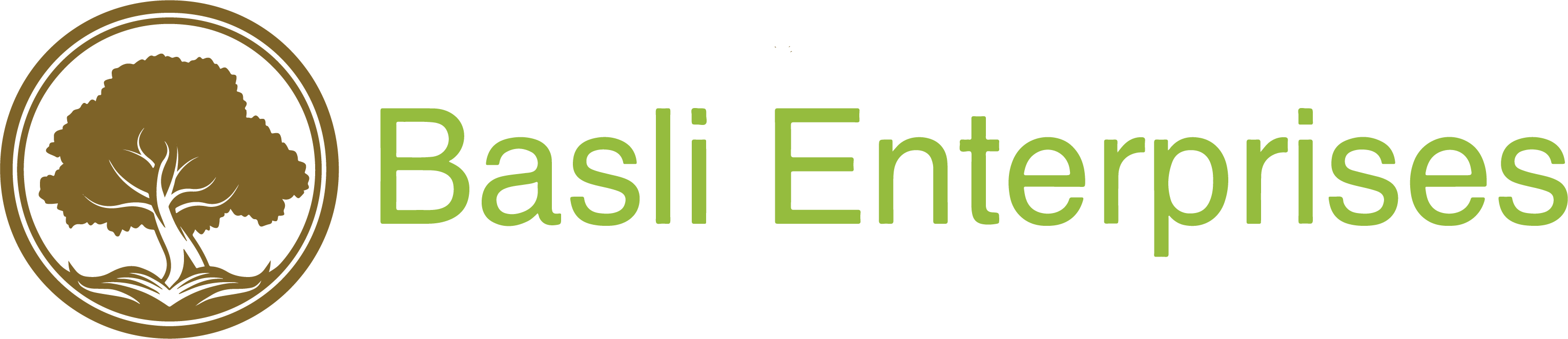 BASLI ENTERPRISES